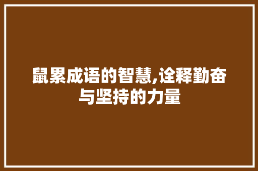 鼠累成语的智慧,诠释勤奋与坚持的力量
