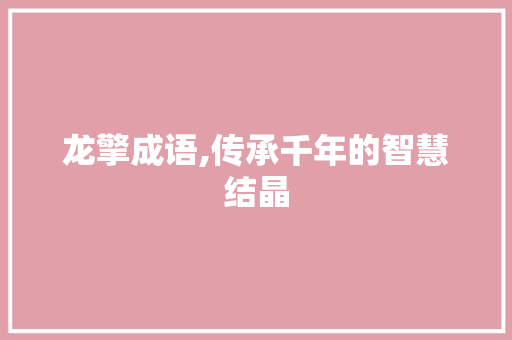 龙擎成语,传承千年的智慧结晶