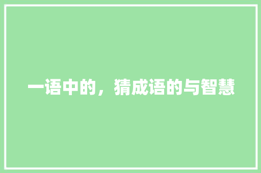 一语中的，猜成语的与智慧