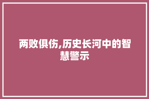 两败俱伤,历史长河中的智慧警示 汉字拼音