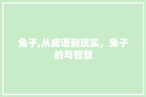 兔子,从成语到现实，兔子的与智慧