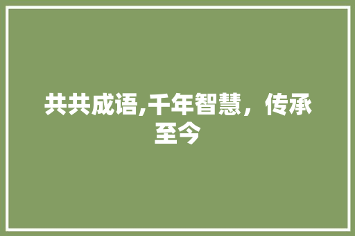 共共成语,千年智慧，传承至今