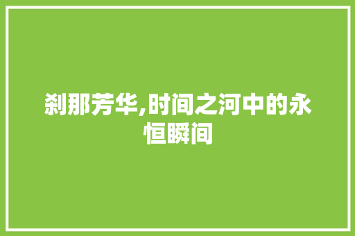刹那芳华,时间之河中的永恒瞬间