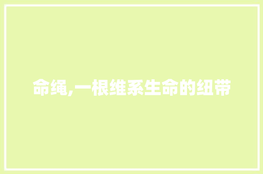 命绳,一根维系生命的纽带 短语