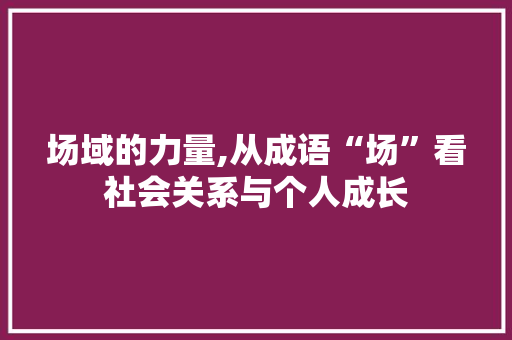 场域的力量,从成语“场”看社会关系与个人成长