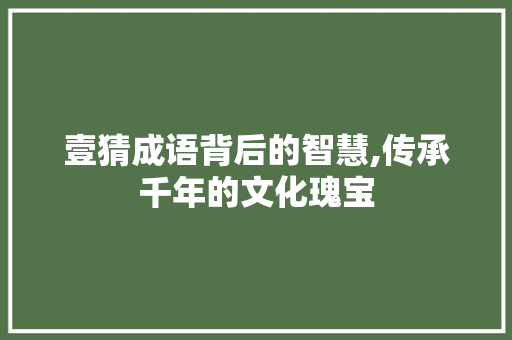 壹猜成语背后的智慧,传承千年的文化瑰宝