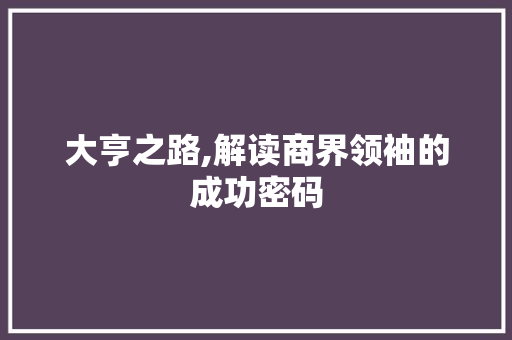 大亨之路,解读商界领袖的成功密码