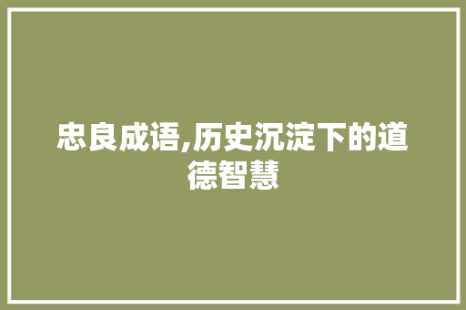 忠良成语,历史沉淀下的道德智慧