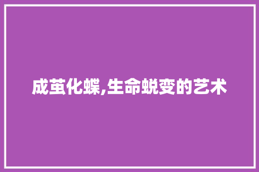 成茧化蝶,生命蜕变的艺术