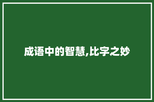 成语中的智慧,比字之妙