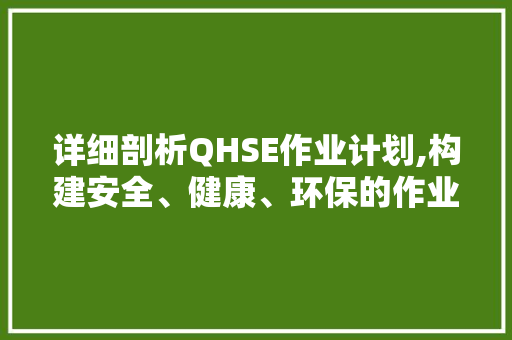 详细剖析QHSE作业计划,构建安全、健康、环保的作业环境