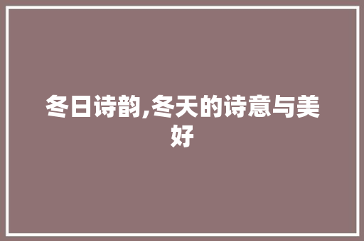 冬日诗韵,冬天的诗意与美好