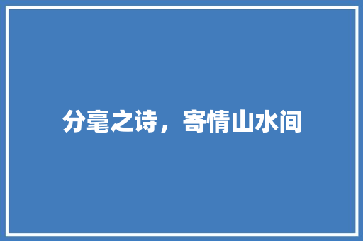 分毫之诗，寄情山水间