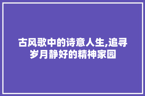 古风歌中的诗意人生,追寻岁月静好的精神家园
