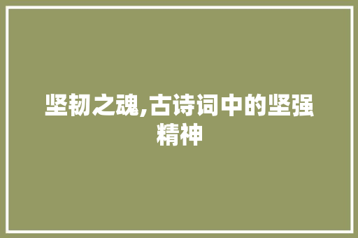 坚韧之魂,古诗词中的坚强精神