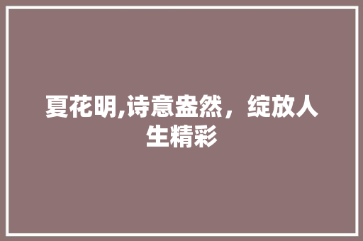 夏花明,诗意盎然，绽放人生精彩