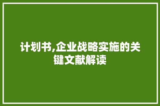 计划书,企业战略实施的关键文献解读