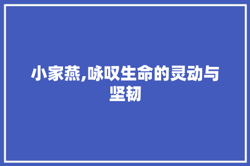 小家燕,咏叹生命的灵动与坚韧