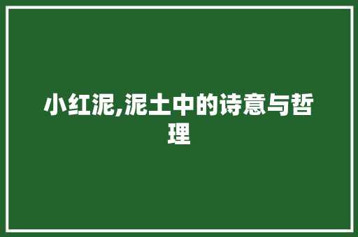 小红泥,泥土中的诗意与哲理