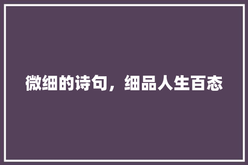 微细的诗句，细品人生百态