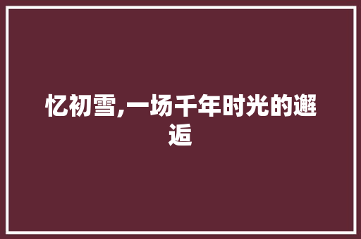 忆初雪,一场千年时光的邂逅