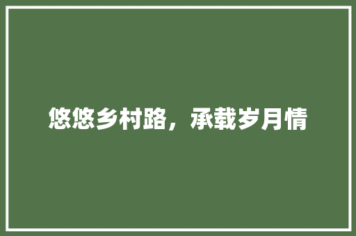 悠悠乡村路，承载岁月情