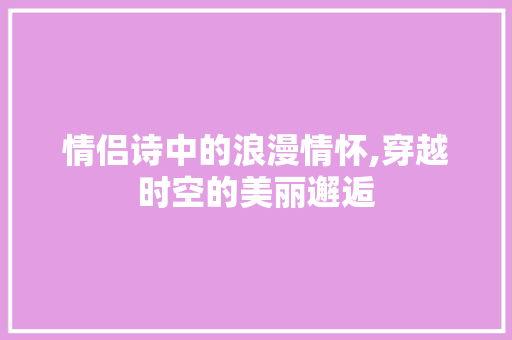 情侣诗中的浪漫情怀,穿越时空的美丽邂逅