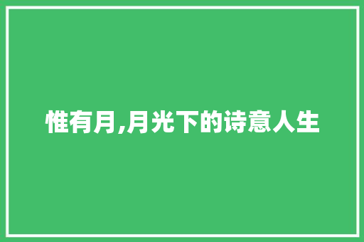 惟有月,月光下的诗意人生