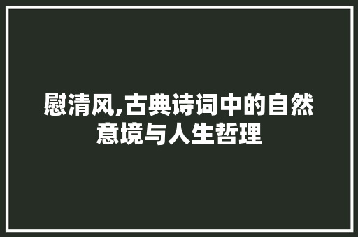 慰清风,古典诗词中的自然意境与人生哲理