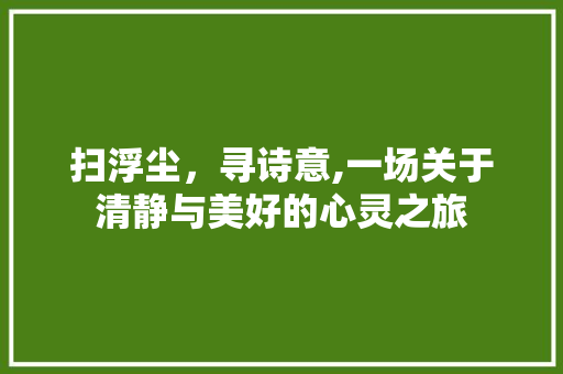 扫浮尘，寻诗意,一场关于清静与美好的心灵之旅