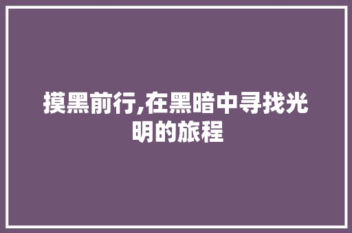 摸黑前行,在黑暗中寻找光明的旅程