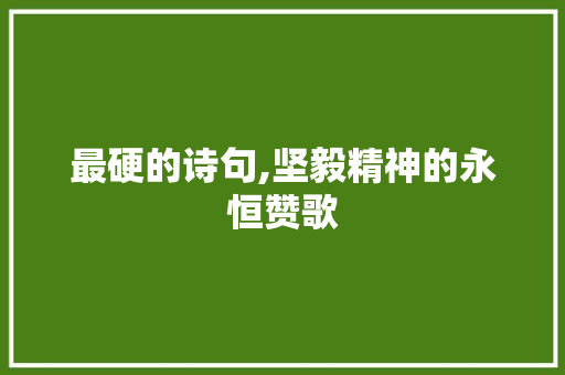 最硬的诗句,坚毅精神的永恒赞歌