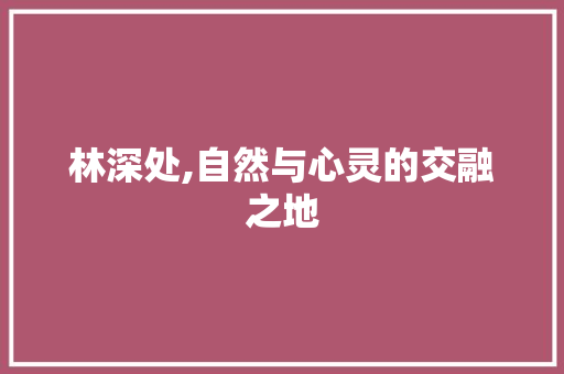 林深处,自然与心灵的交融之地