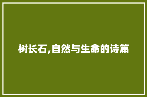 树长石,自然与生命的诗篇