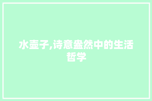 水壶子,诗意盎然中的生活哲学