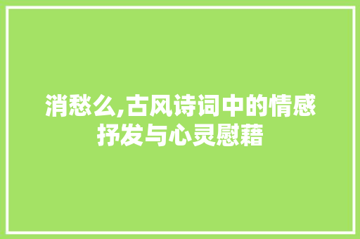 消愁么,古风诗词中的情感抒发与心灵慰藉