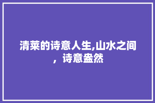 清莱的诗意人生,山水之间，诗意盎然