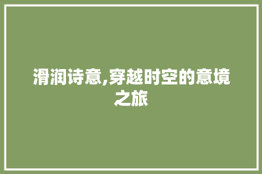 滑润诗意,穿越时空的意境之旅