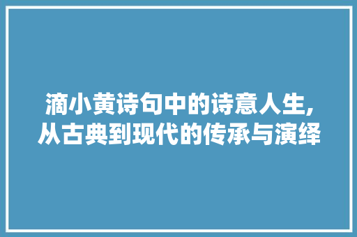 滴小黄诗句中的诗意人生,从古典到现代的传承与演绎