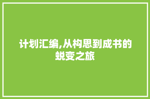 计划汇编,从构思到成书的蜕变之旅
