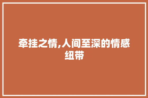 牵挂之情,人间至深的情感纽带