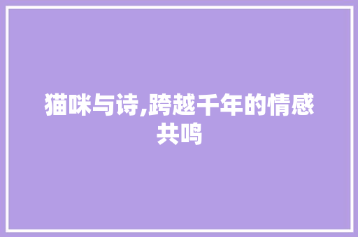 猫咪与诗,跨越千年的情感共鸣