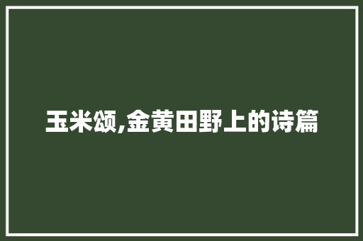 玉米颂,金黄田野上的诗篇