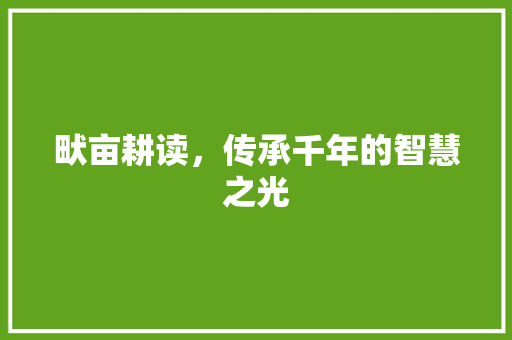 畎亩耕读，传承千年的智慧之光