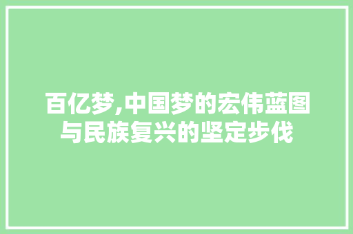 百亿梦,中国梦的宏伟蓝图与民族复兴的坚定步伐