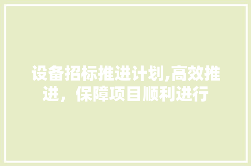 设备招标推进计划,高效推进，保障项目顺利进行