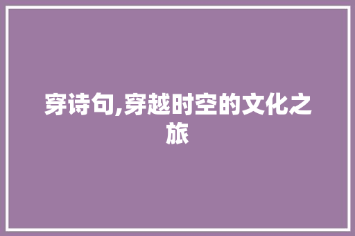 穿诗句,穿越时空的文化之旅