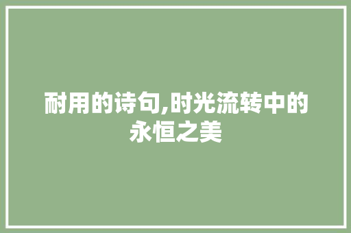 耐用的诗句,时光流转中的永恒之美