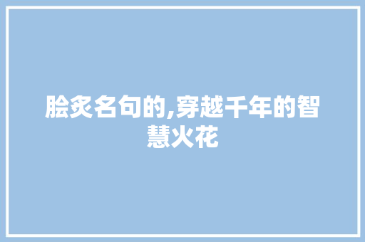脍炙名句的,穿越千年的智慧火花 反义词汇