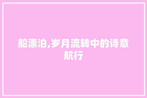 船漂泊,岁月流转中的诗意航行